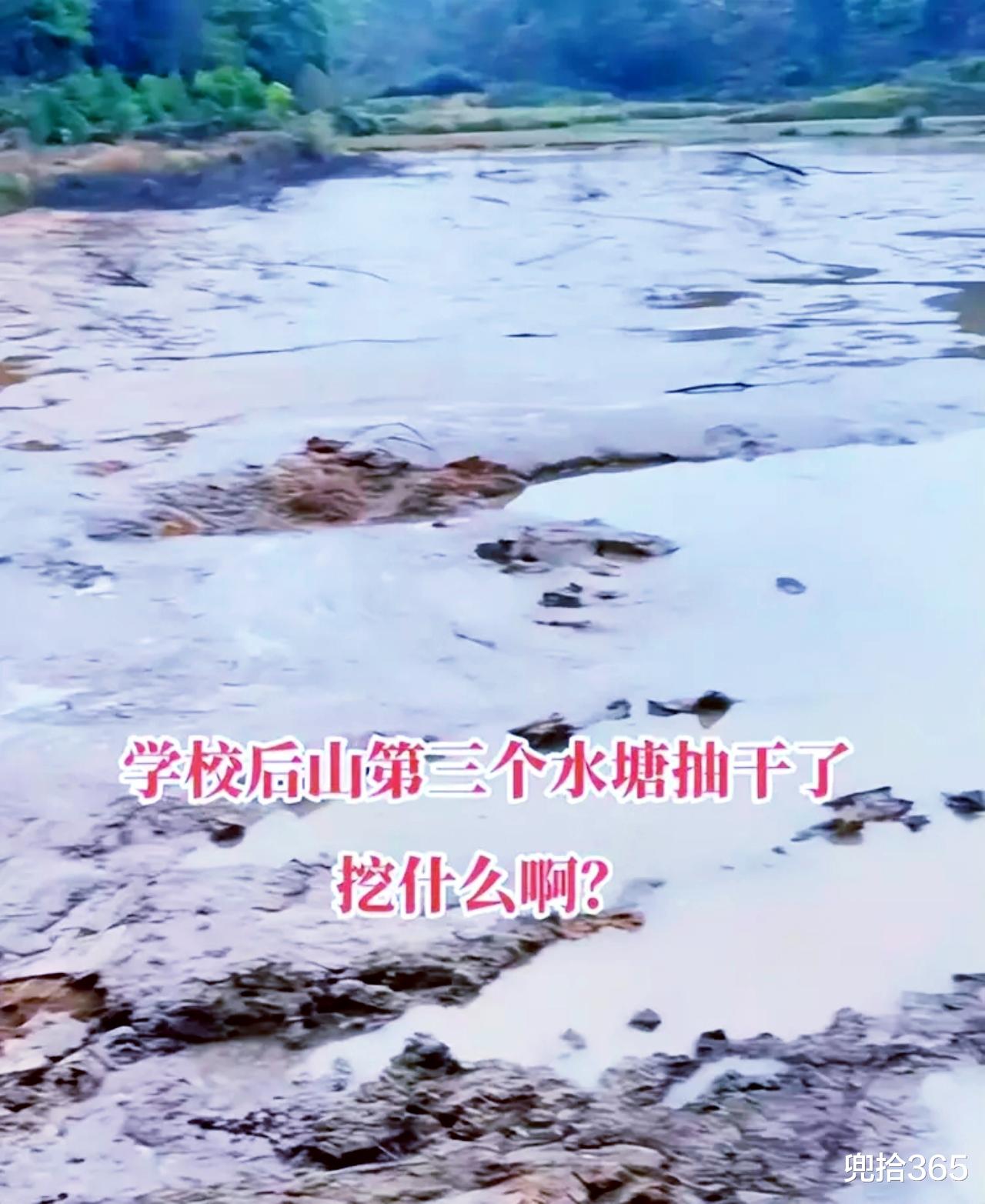 “胡鑫宇失踪事件”最新进展!警方有了新动作,学校后山成焦点?