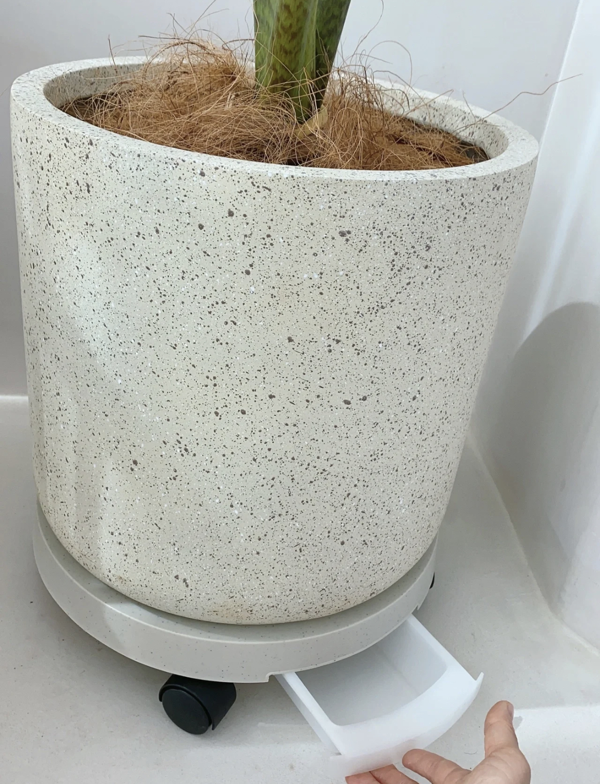 能发明出如此神奇家居品的人，我真的会谢，解决不少生活小痛点