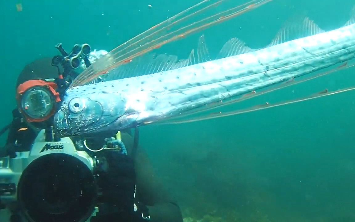 海底1万米有什么