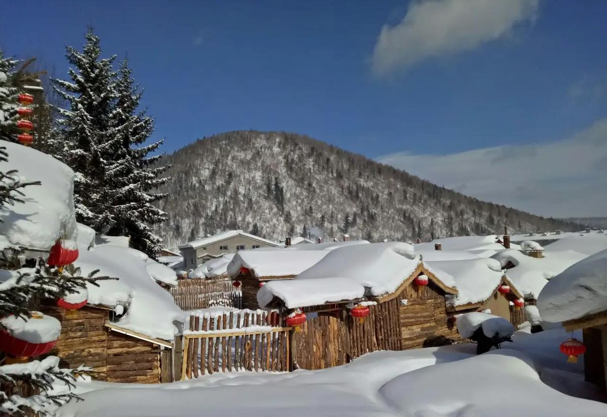 旅游景点|景区乱象屡见不鲜，旅游景点究竟该如何规范？