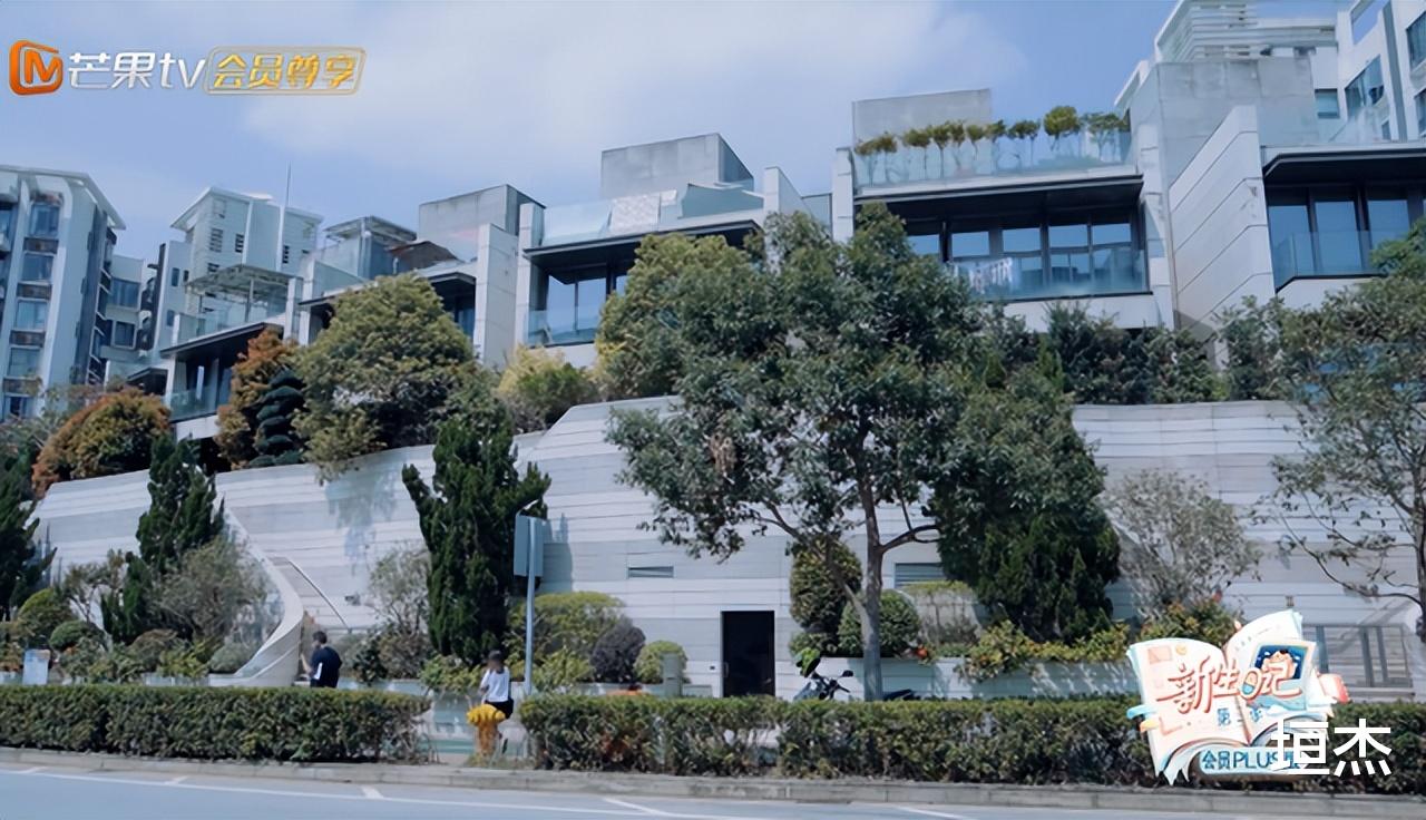 应采儿|“妻圈顶流”应采儿：向太为捧她不顾一切，山鸡哥为她大骂陈冠希