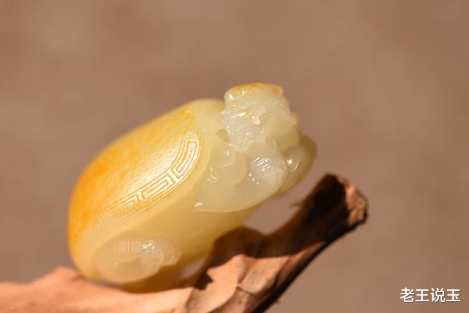 玉雕|在众多的玉雕题材中，为什么龙龟备受青睐？