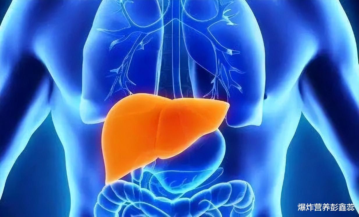 红豆|45岁以后,多让这4个器官运动起来,老了身体或许会更健康