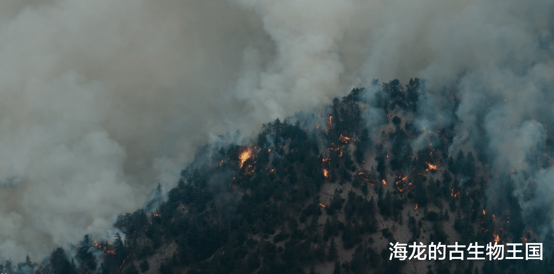 危机中蕴含转机,白垩纪森林中的生存之道