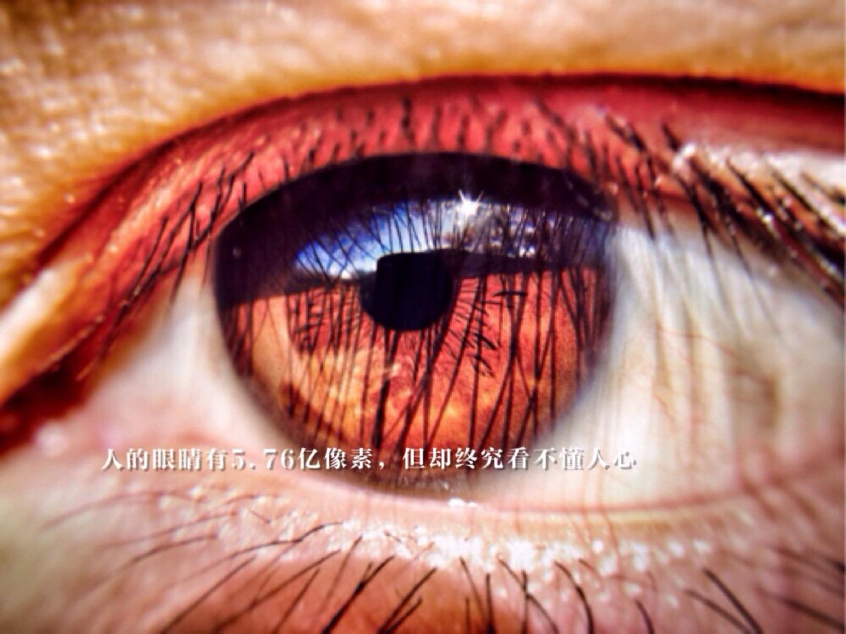 MySQL|只有650万视锥细胞的人眼,是如何吊打所有数码相机的呢?