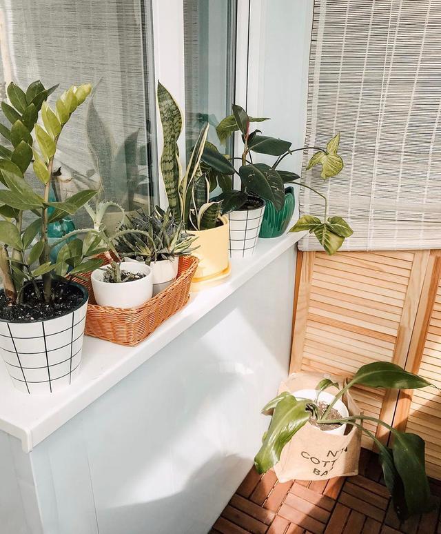 一人住的44㎡小家,每天带来温暖的,除了阳光,还有那一抹活力橙