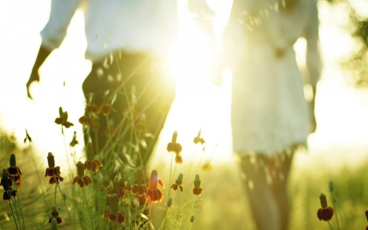 三十而已|再读《三十而已》,原来平平无奇的钟晓芹才是人生赢家