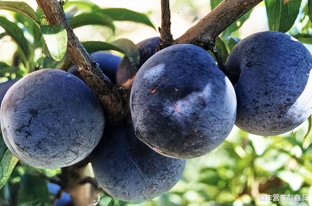 高血压|西瓜热量高，不适合减肥人群吃？辟谣：这5种水果热量都比苹果低