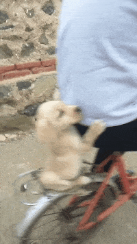 00后|路过程序员办公室,突然看见这画面,忍不住用手机拍了下来,哈哈哈哈~