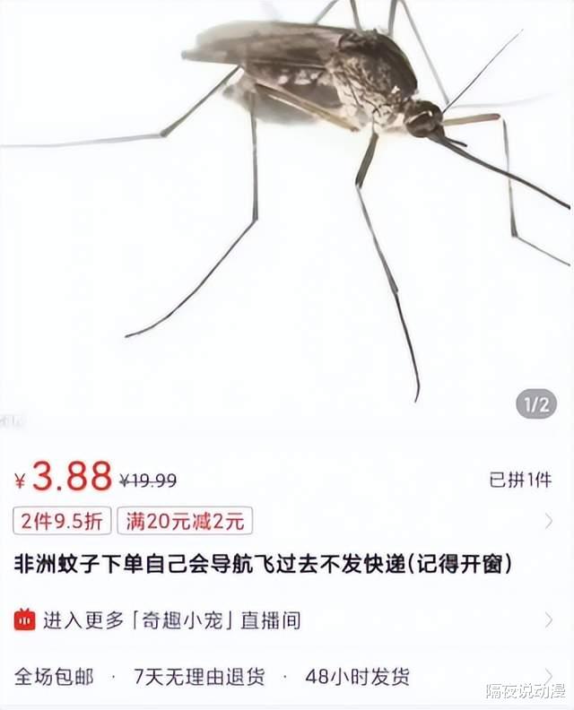 拼多多|拼多多上的不发货，藏着多少年轻人的寂寞？