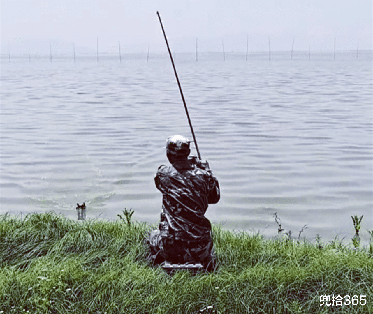 |钓鱼人出圈了!男子扛“枪”坐岸边发现甲鱼就出手,还是百发百中