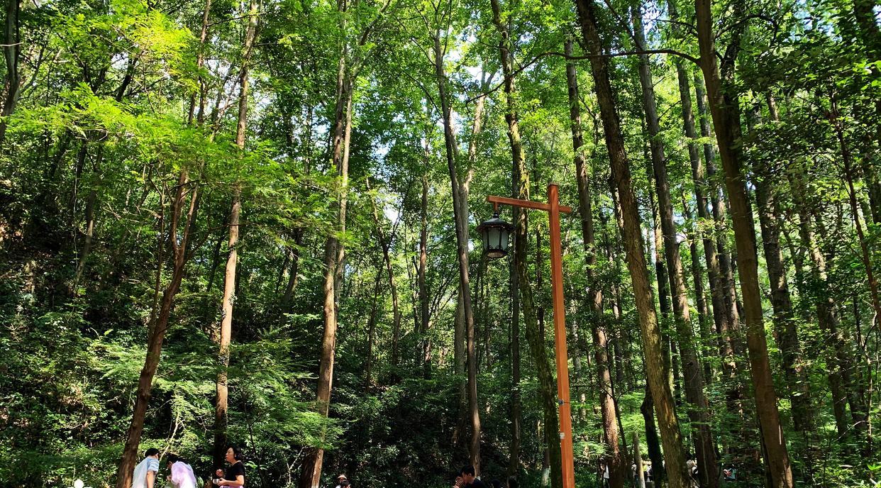 天津市|夏季是玩水胜地，秋季美如童话世界，杭州这处风景再也藏不住了