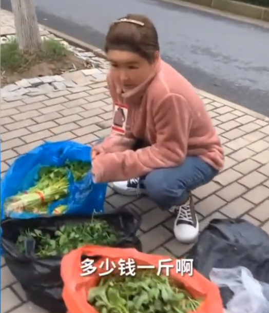 赵本山|离开赵本山不到一年,娇娇落魄到路边卖菜,曾自曝花10万整容失败