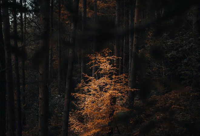 |职场心理学：遇到领导就紧张怎么办？