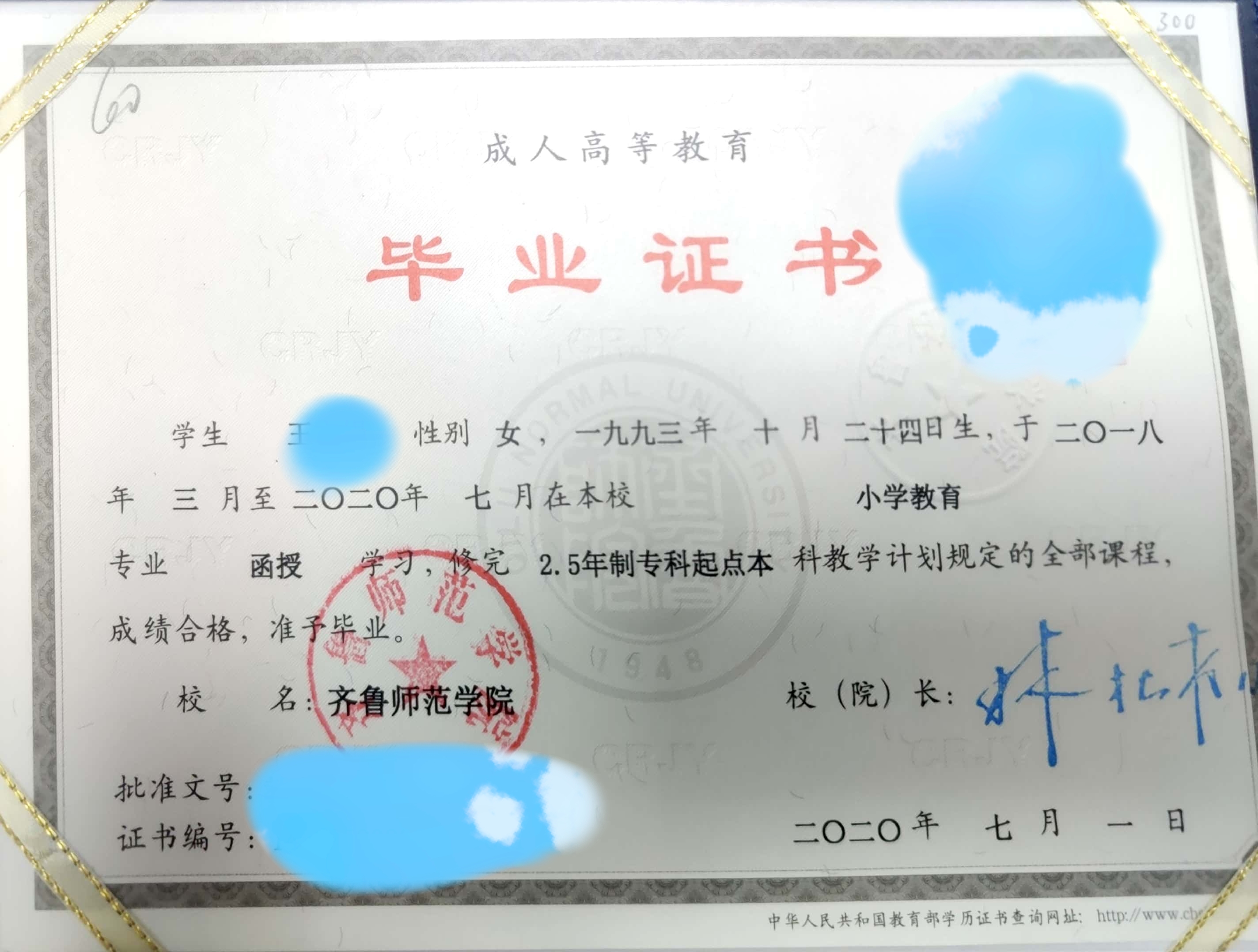 高等教育自学考试|想要提升学历！选择成考还是自考？