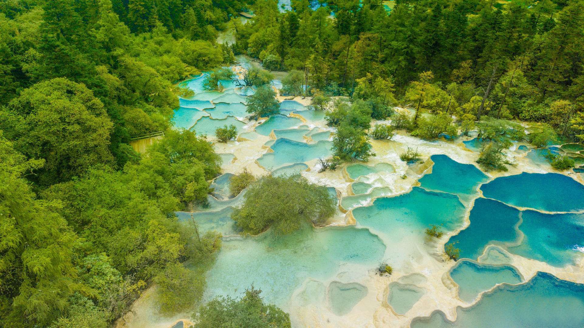 荷花|中国保护完好的高原湿地、奇特的钙华景观、“人间瑶池”——黄龙