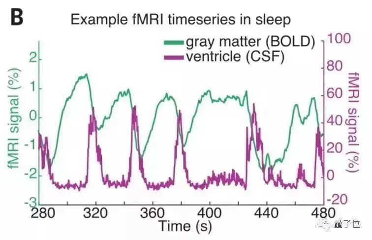 科普|科学家首次拍下人类睡觉时大脑的清洗全过程,熬夜变傻有科学依据!