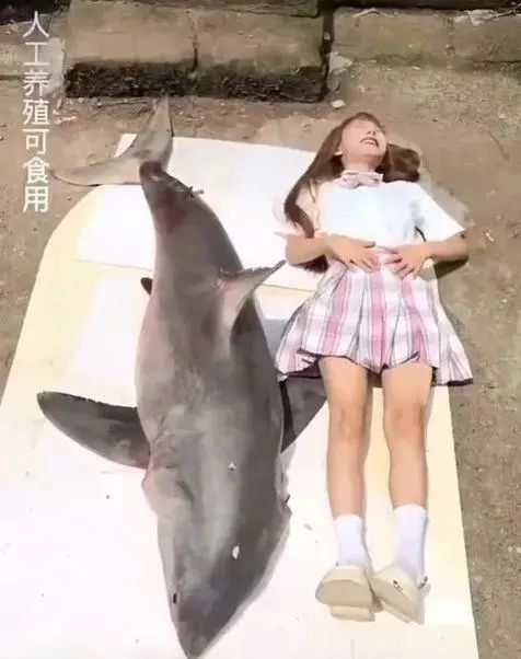 吃鲨鱼的网红,把自己作进去了!