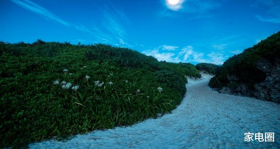 摄像头|重返线下回归代理商是家电换道的新潮流吗？