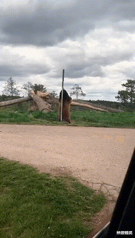 “自从换上了这种凳子，店里的生意格外的好！”