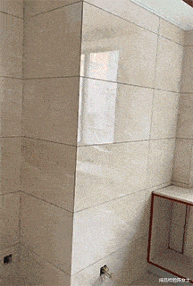 手表 “在五星酒店捡了个块手表，能值500吗？”