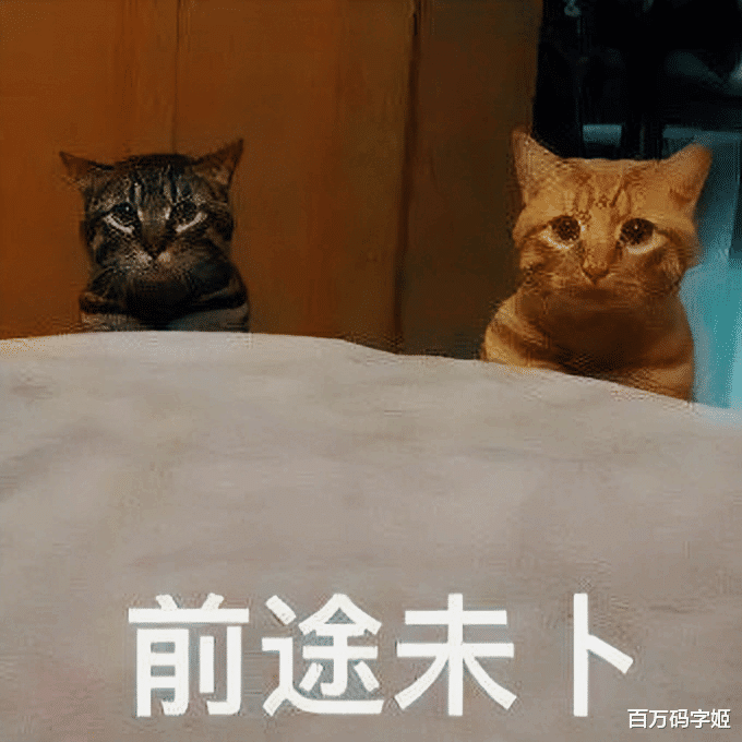 求职|985硕士办公室摔键盘：“就算再找不到工作，也别去亲戚公司上班”