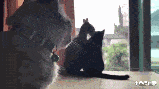 “新房子有这么个角落，该怎么装修？”网友：这是庙吧？哈哈哈