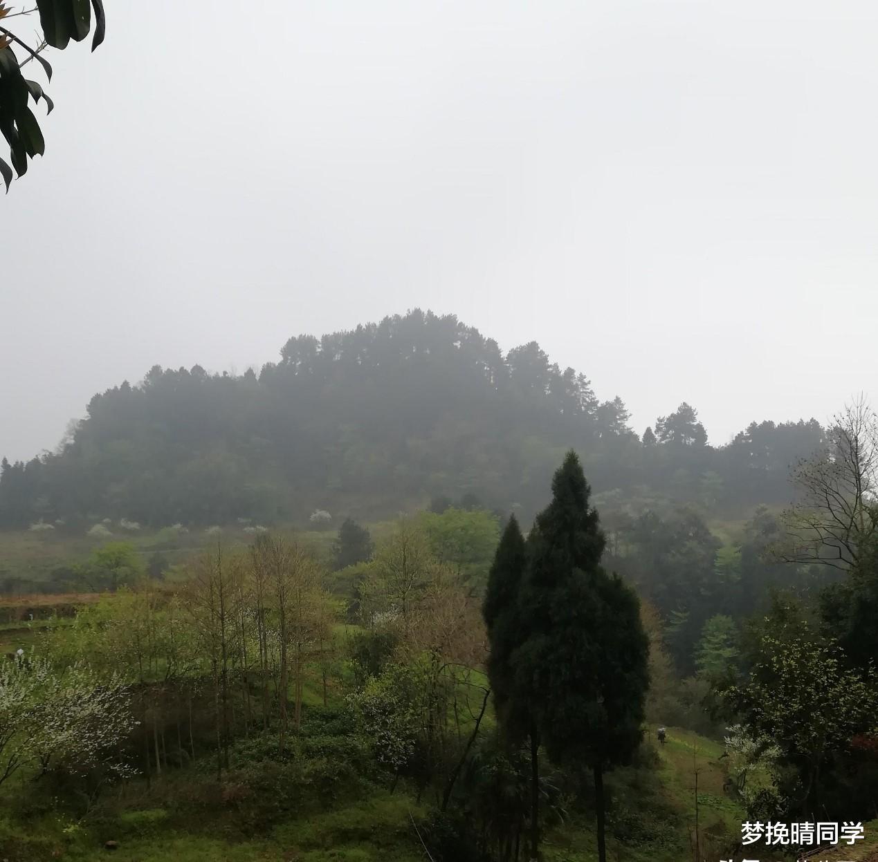 南川|重庆市巴南区海拔最高的小村庄，夏季凉风习习是避暑不可缺之地