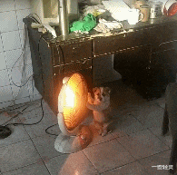 小姐姐|“总经理办公室这样设计，要不要加厚隔音墙呢？”太有才了