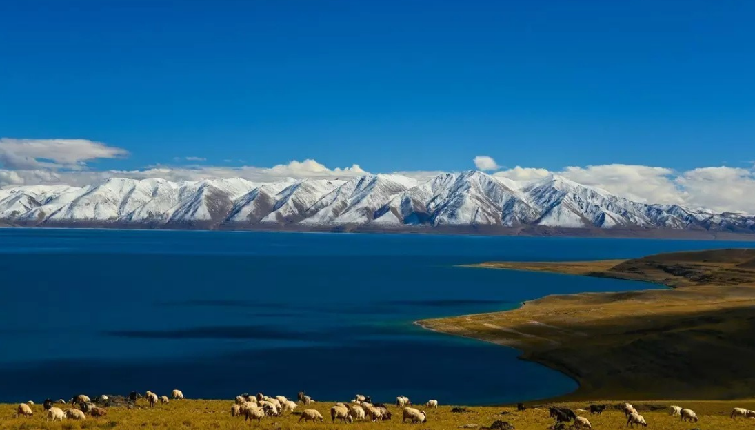云南|如果前往西藏，这些地方是特别绝美的，风景让我们无法忘怀
