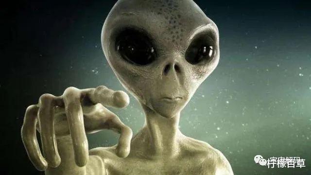 人类眼中的外星人就是蚂蚁眼中的人类?还真有这种可能!