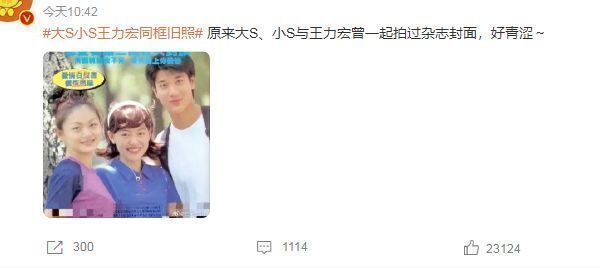 大S|大S小S王力宏同框旧照曝光,大S颜值不如妹妹,王力宏状态获夸赞