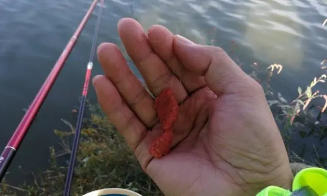 饵料|钓友牢记这4个关键字,早春垂钓轻松得鱼,渔获不知道要好几倍!