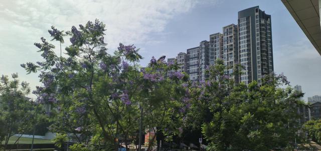 红米手机|一代神U的实力RedmiNote11TPro+使用评测