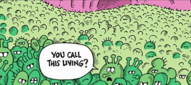 人走茶凉,细菌还在,新研究:人类的存在,会改变室内微生物群