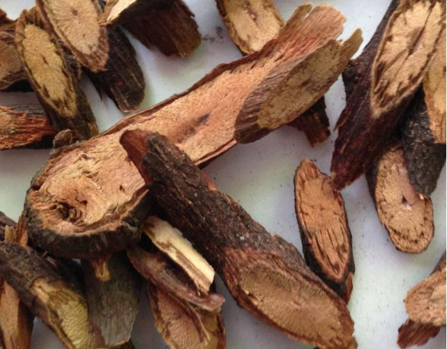 中药|一味不被重视的中药，内则养心血安神，祛风湿通经络，外则悦肌肤