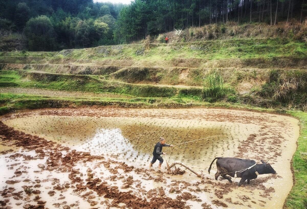 活着|《活着》：人是为了活着本身而活着，而不是为了活着之外的事物
