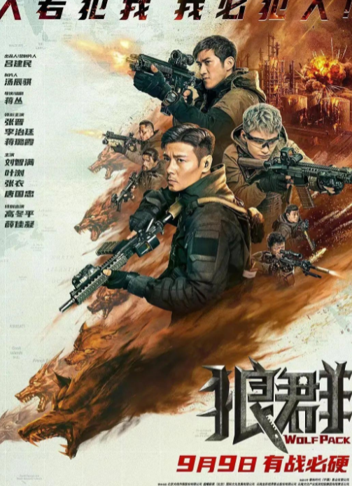 狼群|影评《狼群》：个个是平凡英雄，但是不普通