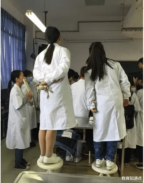 求职|学医找工作也要人脉吗？民办二本医学检验毕业，进县医院都很难？