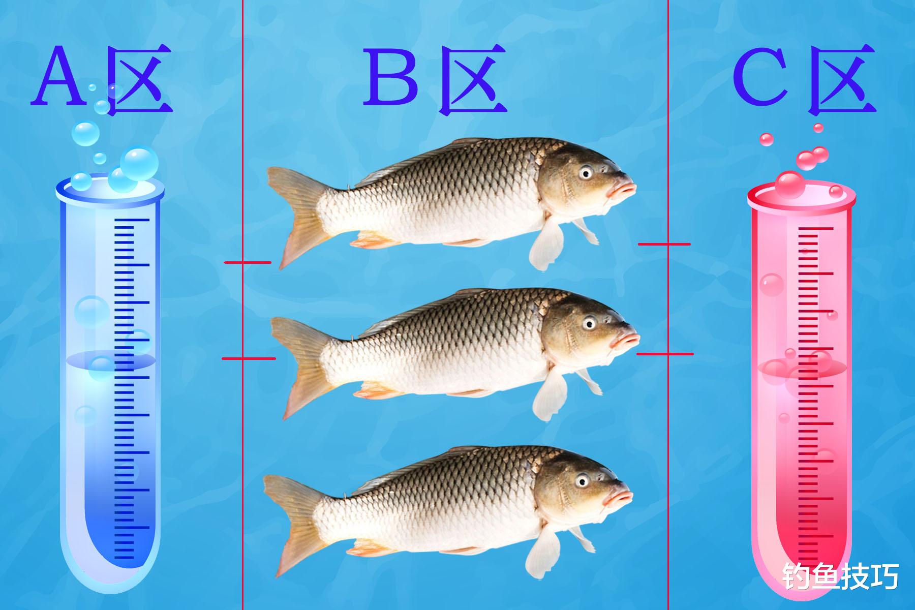|鱼的饥饿感与什么有关?如何让鱼变得饥饿?影响鱼的饥饿感的要素