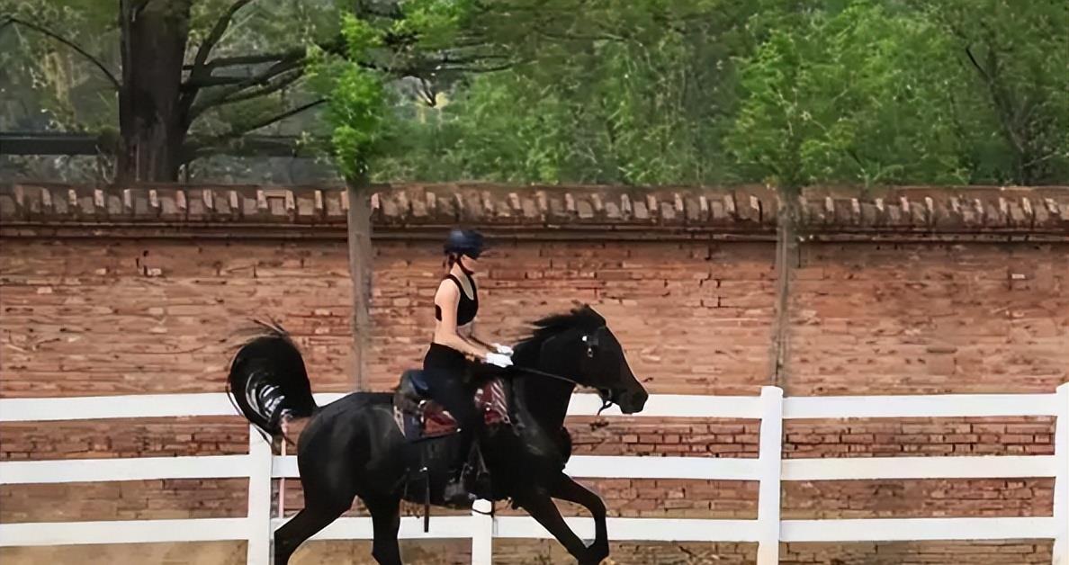 发型 1076万“毕业生”将步入职场，如何解决就业难？这个方向比较合适