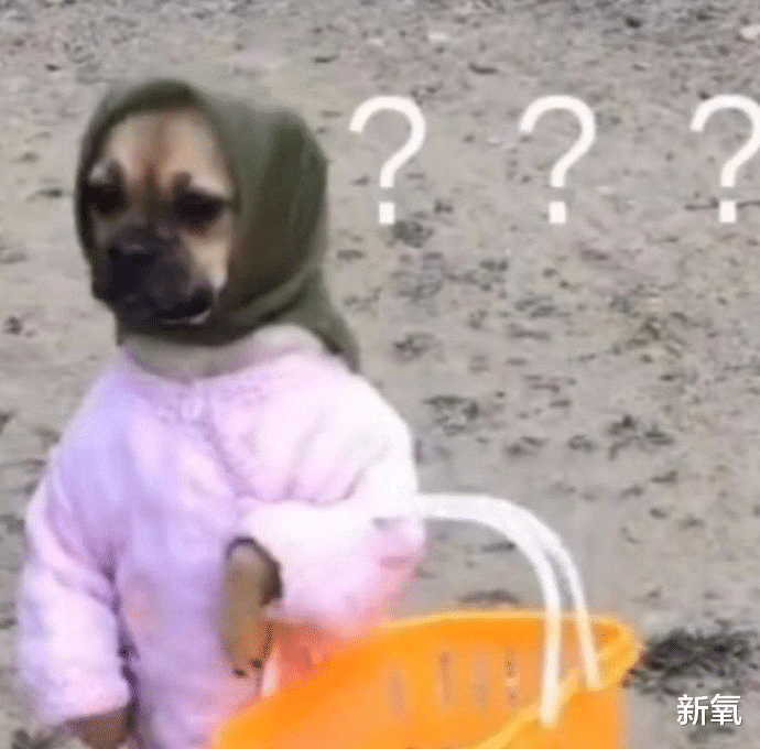 朱之文|被冤枉了十几年，她终于肯站出来为自己说话了…