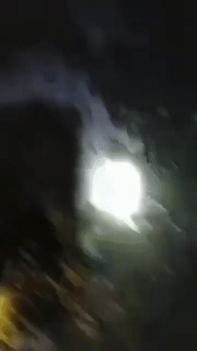 银环蛇|惠州男子夜钓时竟被银环蛇包围，网友：生死一线间