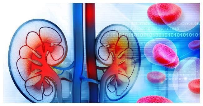 胃食管反流病|为何“尿毒症”越来越多?听一句劝:3物别贪嘴,肾会“感激”你