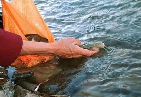 西藏|我国有一处湖泊，据说里面有8亿公斤的鱼，为何没人捕捞？