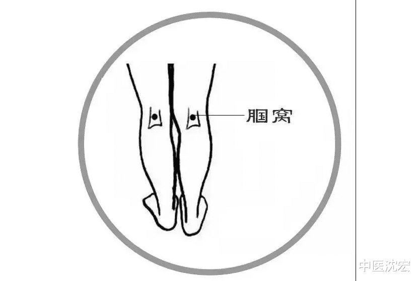 降压药|经络不通百病生,拍打这8个窝,打通全身经络,从头补到脚