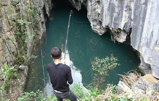 巴马|“夜钓死鱼口,阎王在招手”,男子深夜钓到死鱼,宣布不再钓鱼