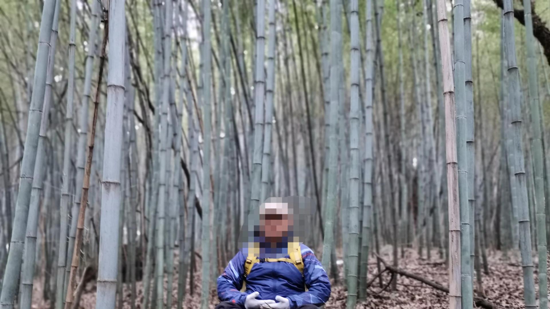 弥勒|海拔900米的秦北麓还有10多亩毛竹林，真是神奇