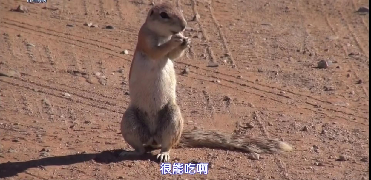 请回答1988|《请回答1988》的衍生综艺，售后做得太好了，满满看点赶紧追起来