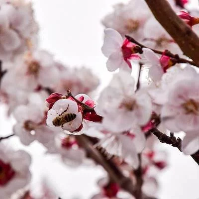 打破套子 找好方子不要因为技能高就自傲自满作茧自缚而是要勇去突破和创新很多事例都在暗示这一道理
